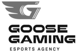 Goose Gaming